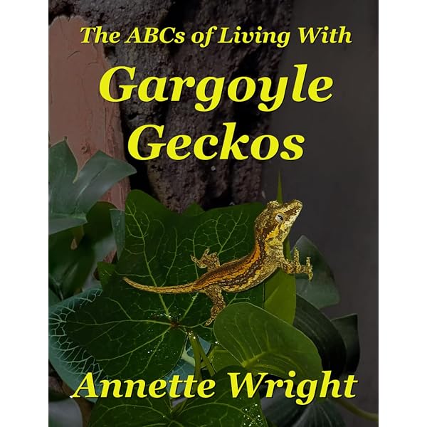Leopard Geckos: the Next Generations: Ron Tremper: 9780615610535